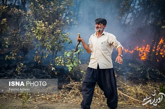 "ملکه ایران" سیاه بخت شد